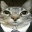 Mitrilar
