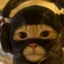 kot_maxwell