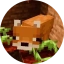FoxZerodix